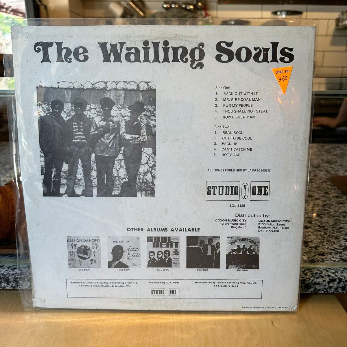 The Wailing Souls - The Wailing Souls
