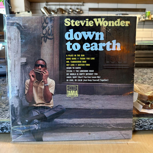 Stevie Wonder - Down To Earth