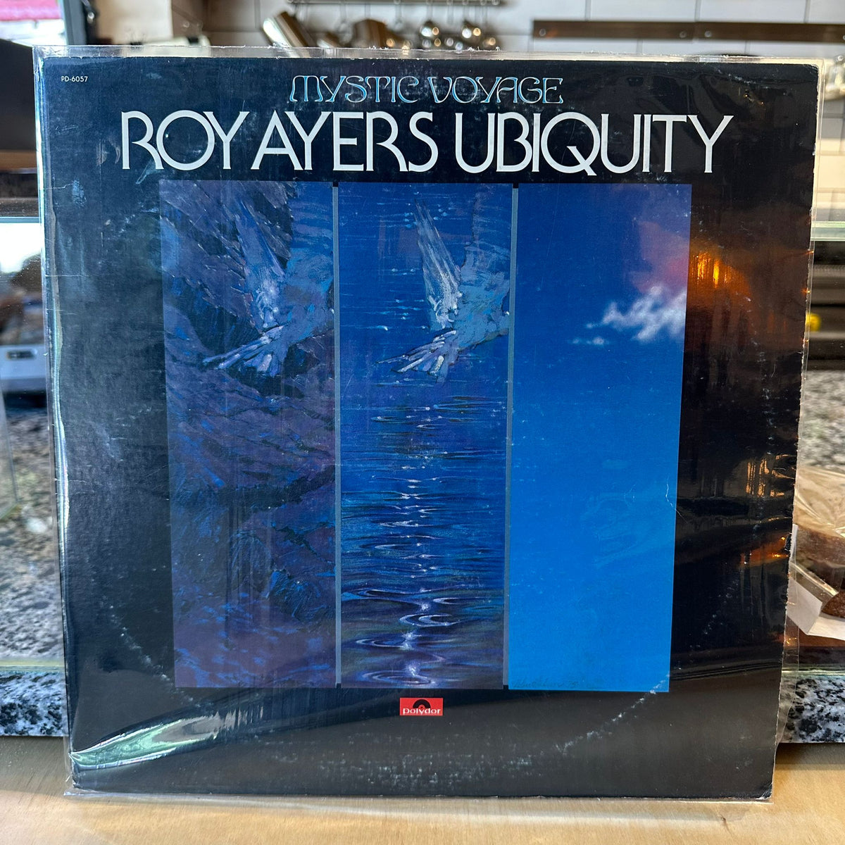 Roy Ayers Ubiquity - Mystic Voyage