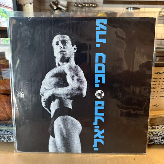 מתי כספי - נחניאלי - שדרים