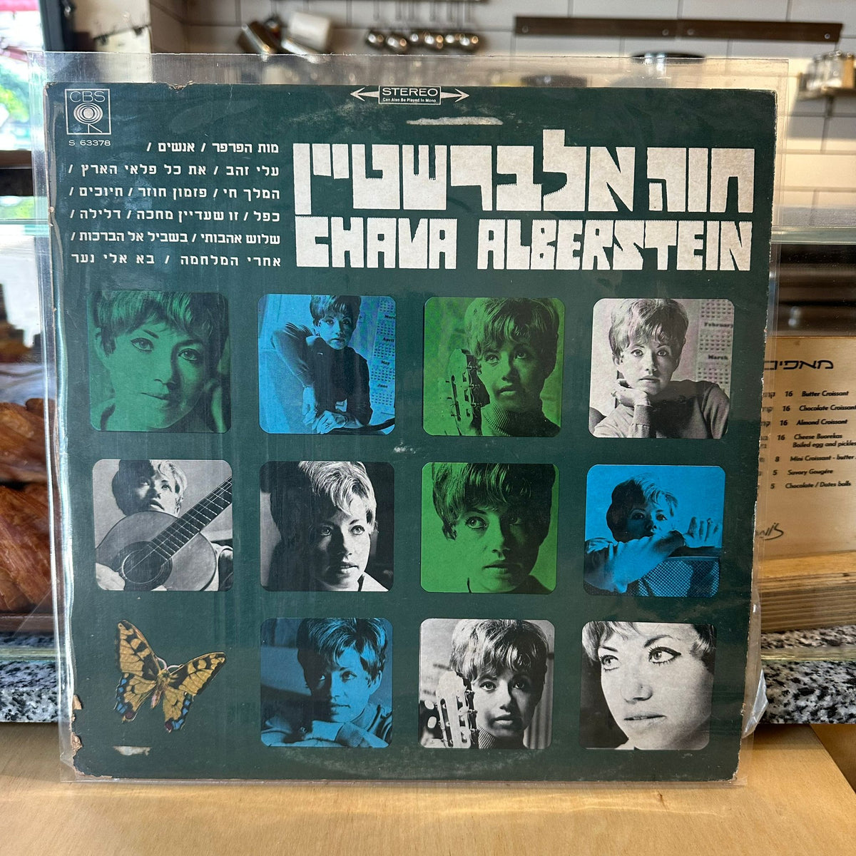 חווה אלברשטיין - חווה אלברשטיין