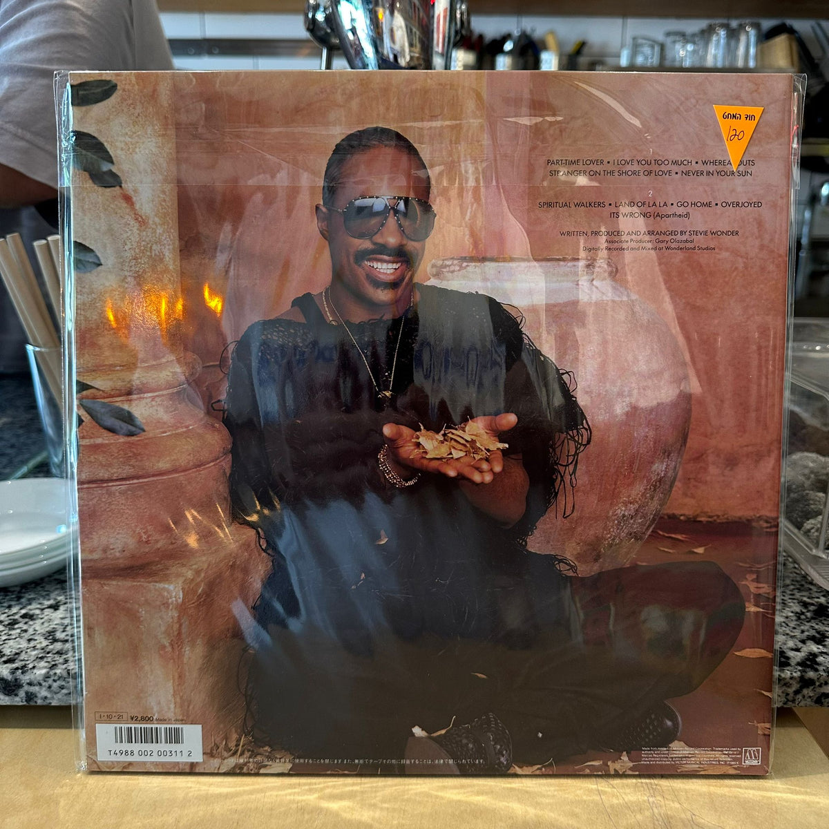 Stevie wonder - in square circle