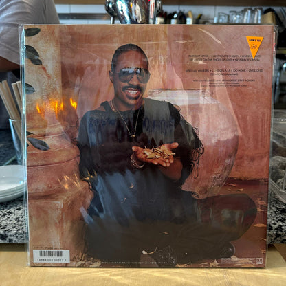 Stevie wonder - in square circle
