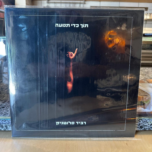 רביד פלוטניק - תוך כדי תנועה