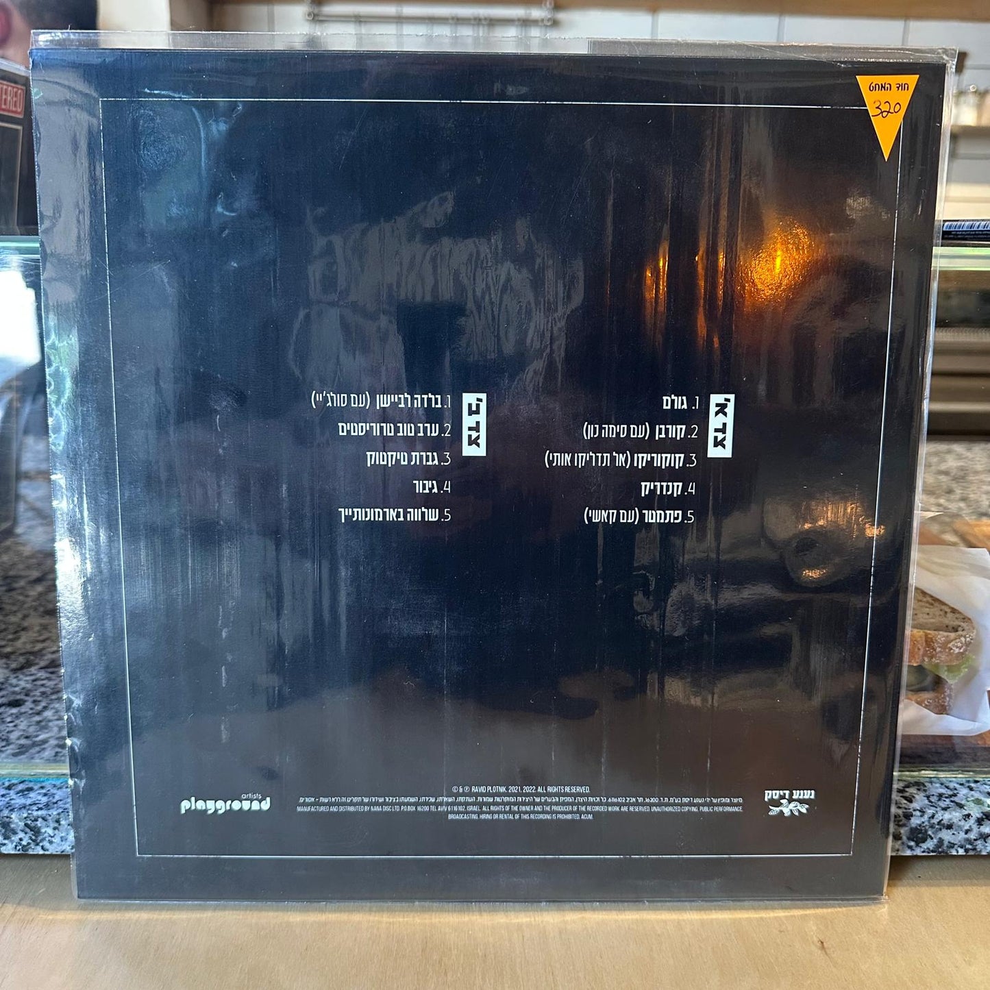 רביד פלוטניק - תוך כדי תנועה