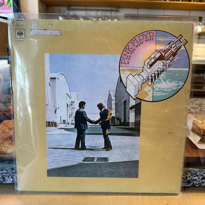 pink floyd - wish you were here