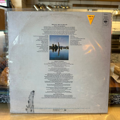 pink floyd - wish you were here