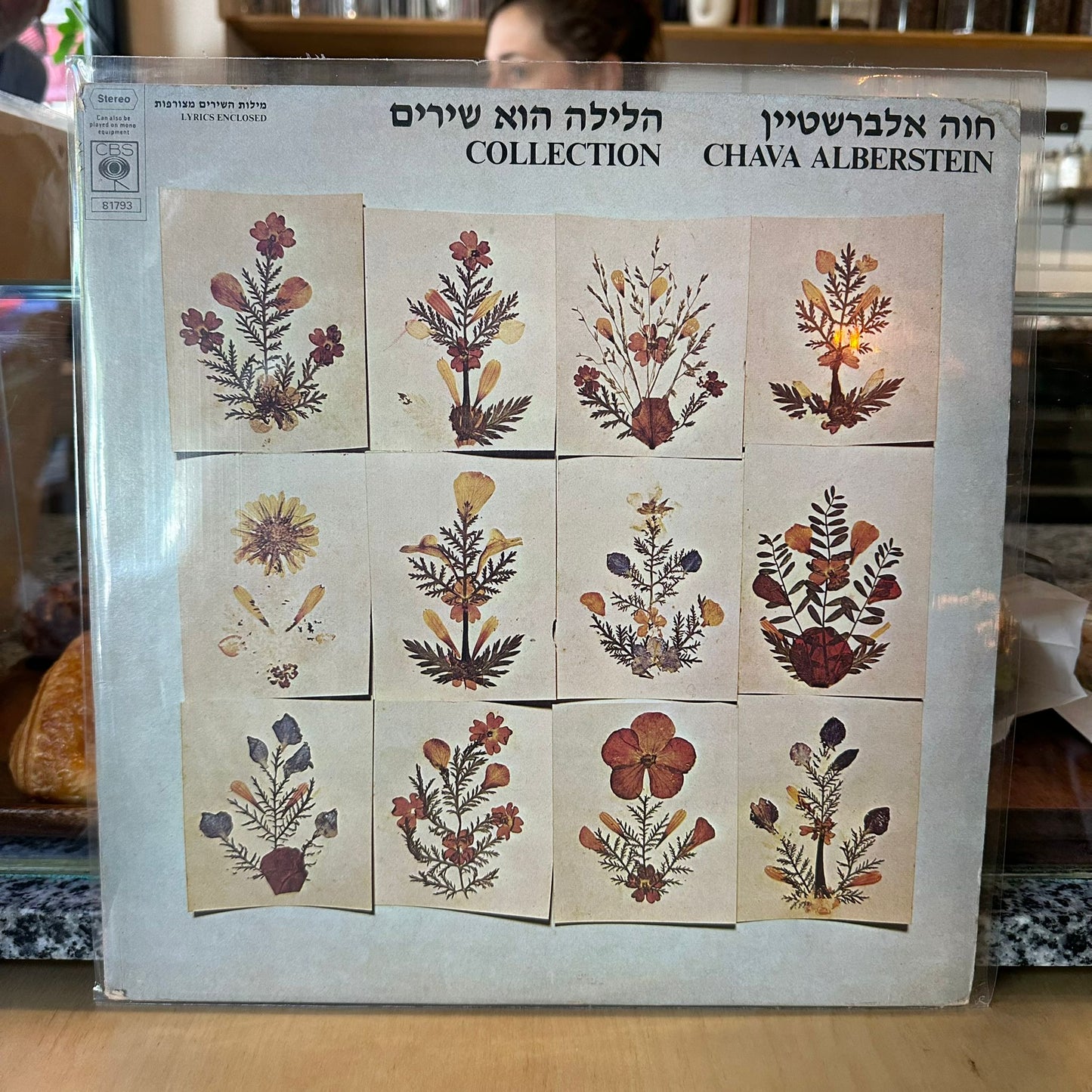 חוה אלברשטיין - הלילה הוא שירים