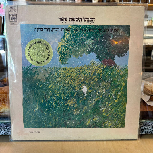 הכבש השישה עשר - הכבש השישה עשר