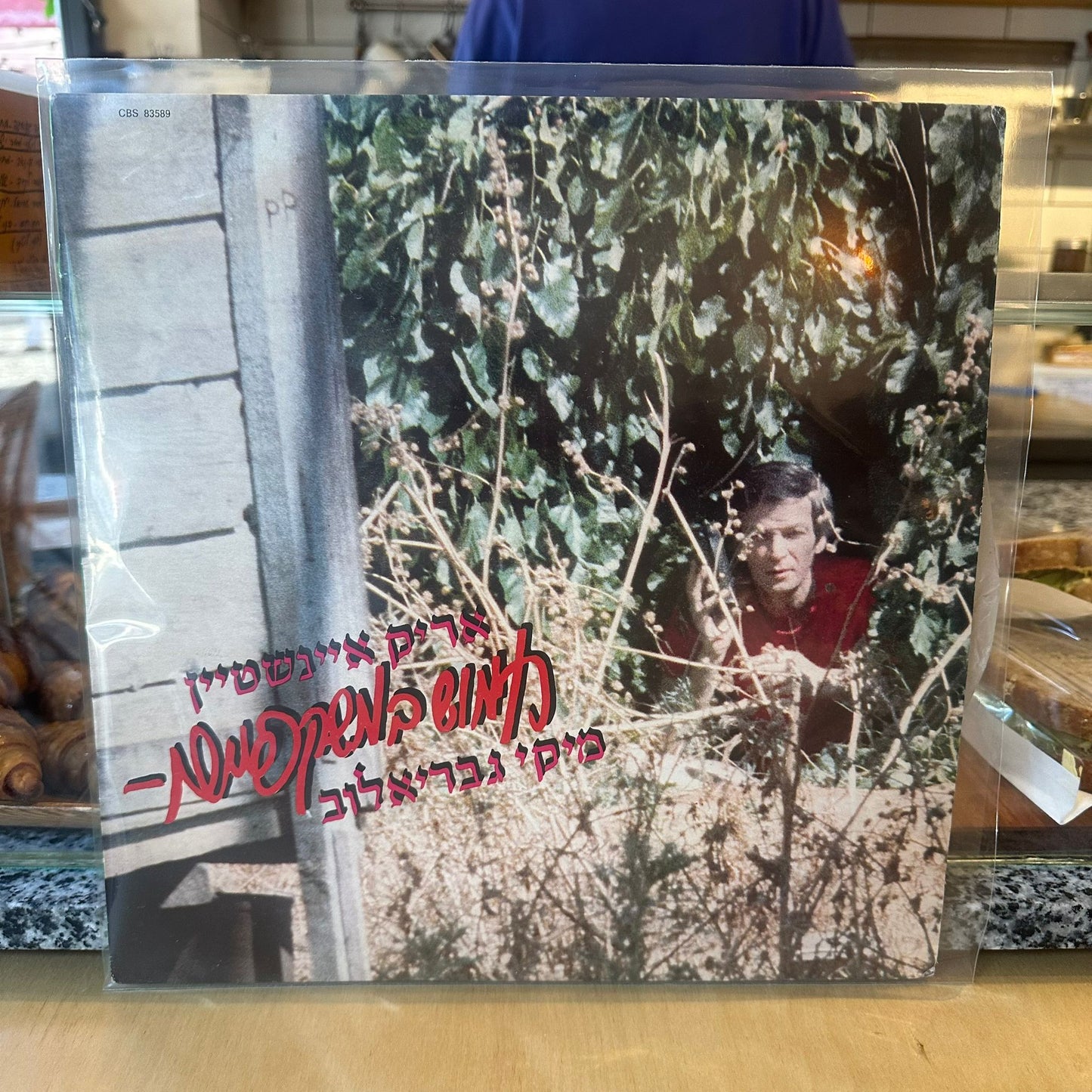 אריק איינשטיין - חמוש במשקפיים