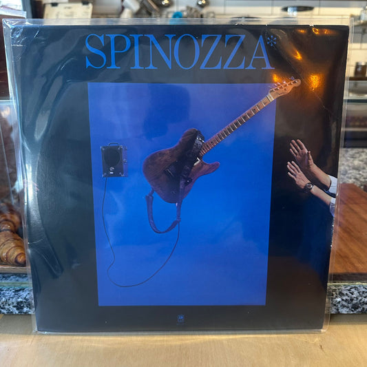 David Spinozza - Spinozza